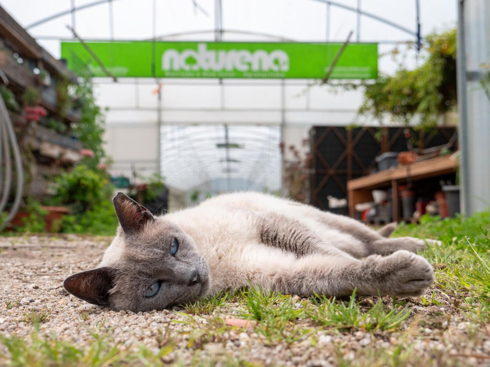 Naturena Agro-Turismo Durrães Kültér fotó